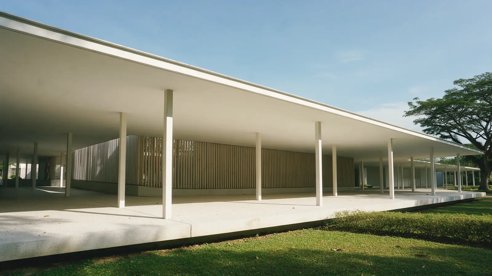 A long covered walkway with slender white columns under a flat white roof, seen along its length towards a large tree on a clear day